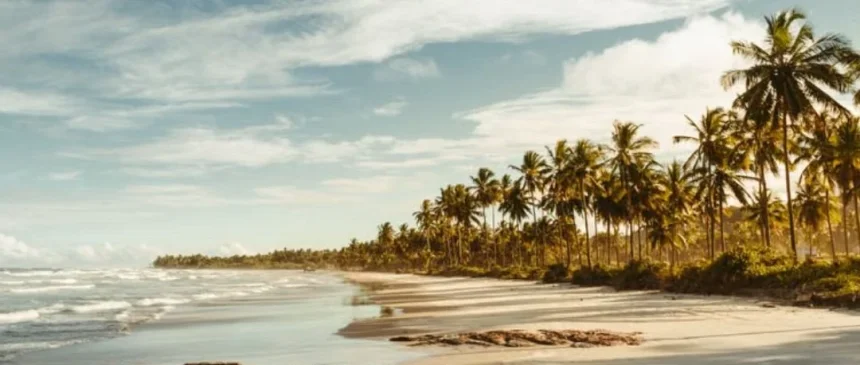 BAHIA DE ENCANTOS: Salvador, Morro de São Paulo, Itacaré e Península de Marau